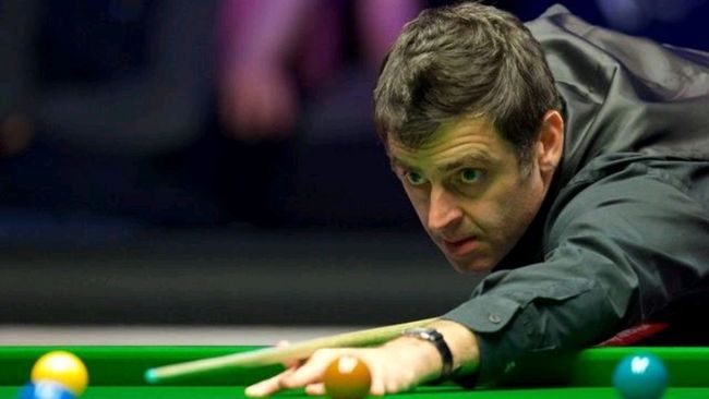 马术这一传 马术这一传