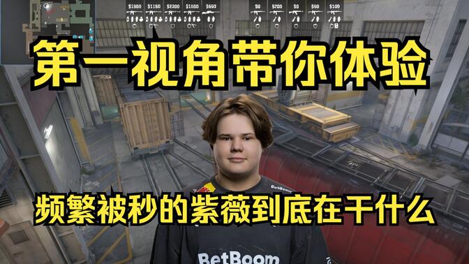 斯特赖桑效 斯特赖桑效