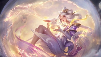 报名 报名